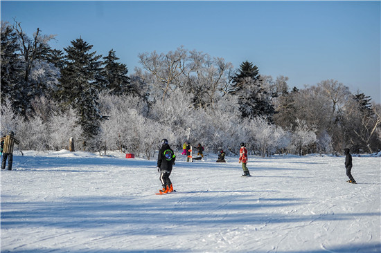 冰雪吉林引凤来：以冰雪之名，书写吉林振兴之精彩