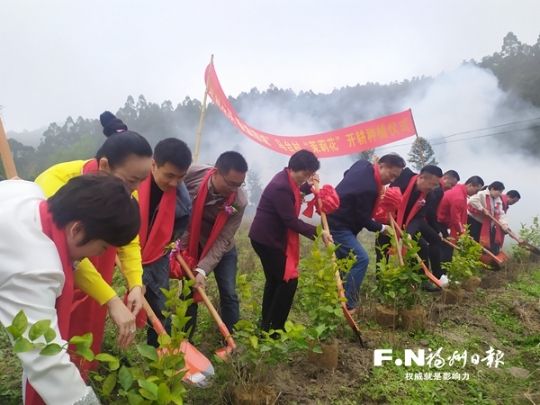 马台村茉莉花基地种下新苗。记者 余少林 摄